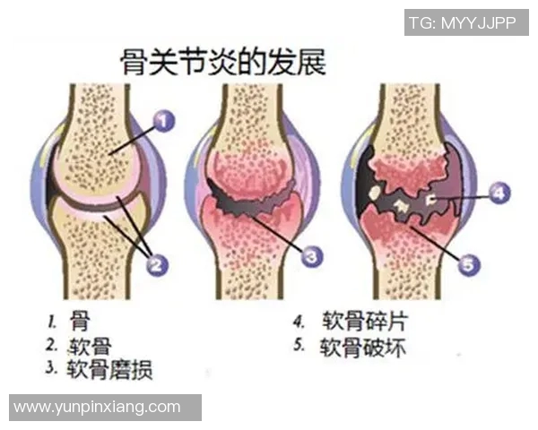 赛后分析：上海篮球队与南京篮球队的比赛节奏与战术对比探讨