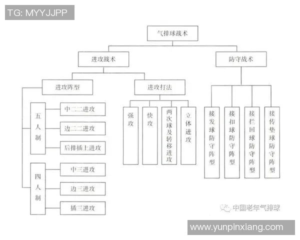 成都排球队在精英赛中的战术表现分析与点评探讨 成都排球队在精英赛中的战术表现分析与点评探讨
