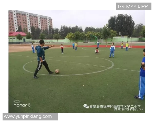 抚宁地区足球明星盘点及其在足球界的成就与影响