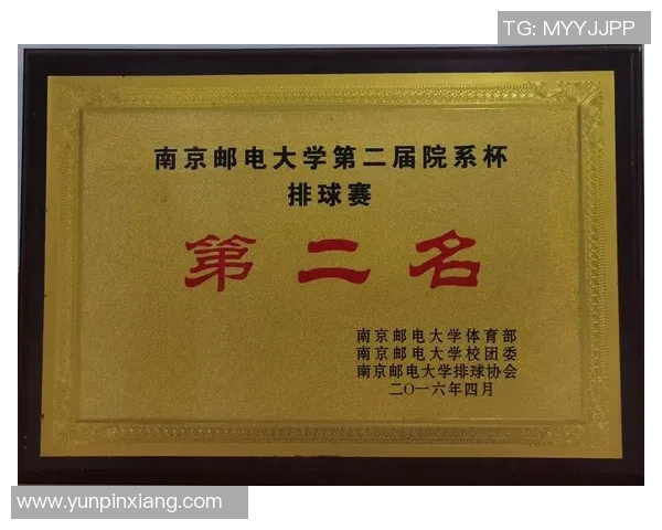 广州排球队在杯赛中的比赛经验与表现分析与点评