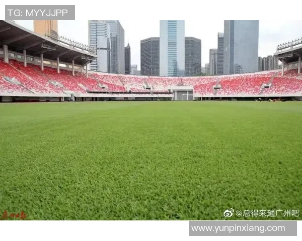 广州羽毛球队运营分析：成功经验与面临挑战的全面探讨