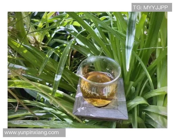 足球明星华丽转身西装MV展现魅力与风采的完美结合 足球明星华丽转身西装MV展现魅力与风采的完美结合