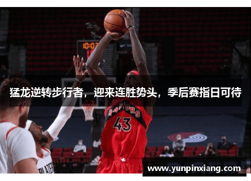 猛龙逆转步行者，迎来连胜势头，季后赛指日可待