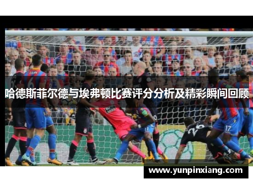哈德斯菲尔德与埃弗顿比赛评分分析及精彩瞬间回顾